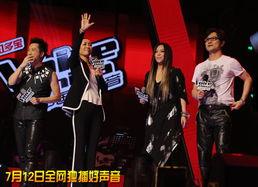 中国好声音第二季全集在线观看,梦想舞台，激情燃烧的视听盛宴  第2张