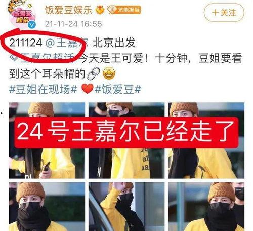东北女孩爆料视频播放网站,热门视频网站背后的秘密